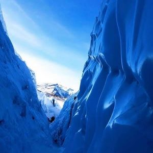 Meet your Posher, Billy